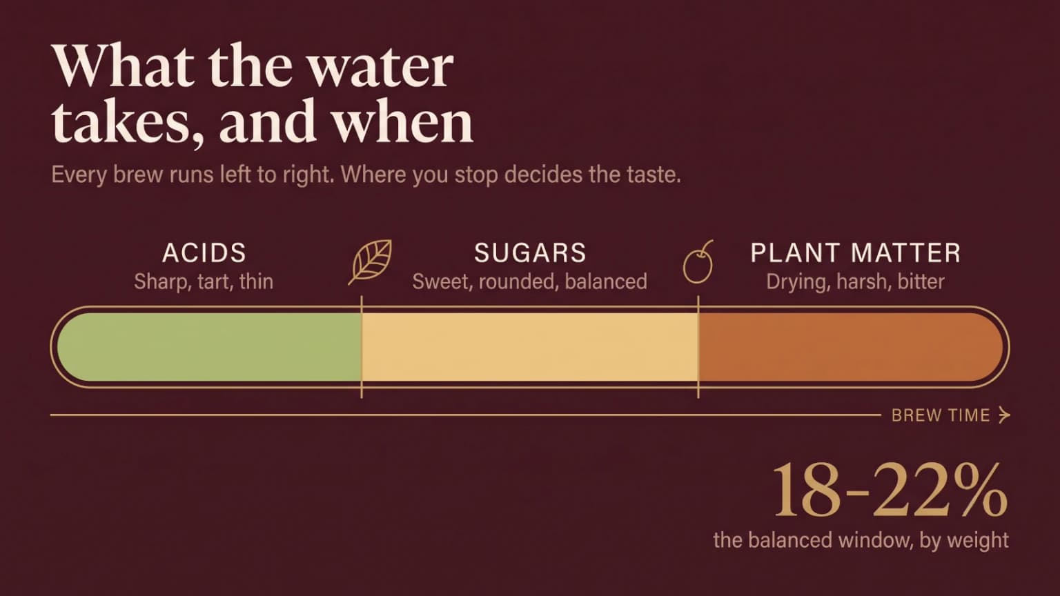 A band divided into three sections showing what dissolves out of coffee over brew time: acids first, sugars and sweetness in the middle, then harsh plant compounds at the end.