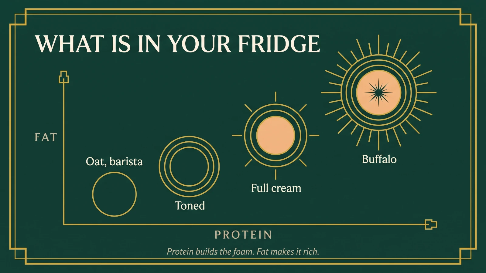 Quadrant plot of toned, full-cream, buffalo and barista oat milk by fat against protein.