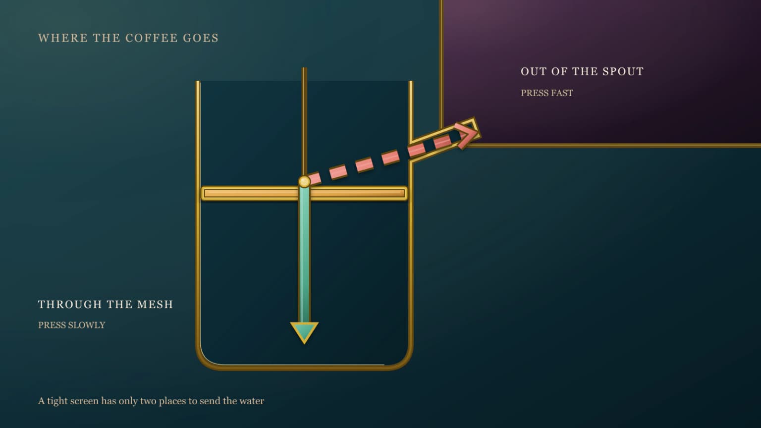 Side section of the Frieling press showing coffee's two routes when the plunger is pushed down.